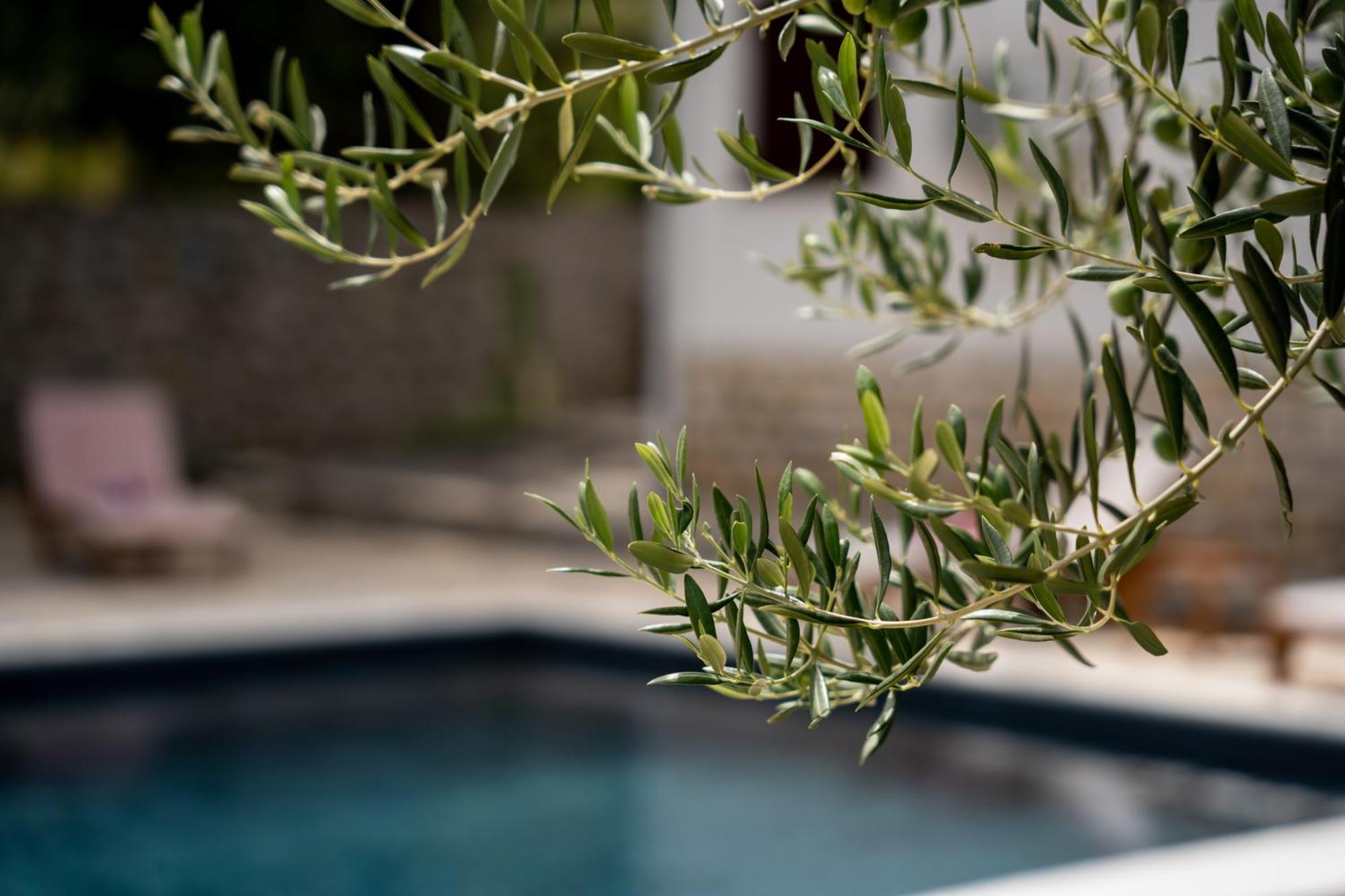 Villa Pag Dubrava Relax With Pool Bosana ภายนอก รูปภาพ