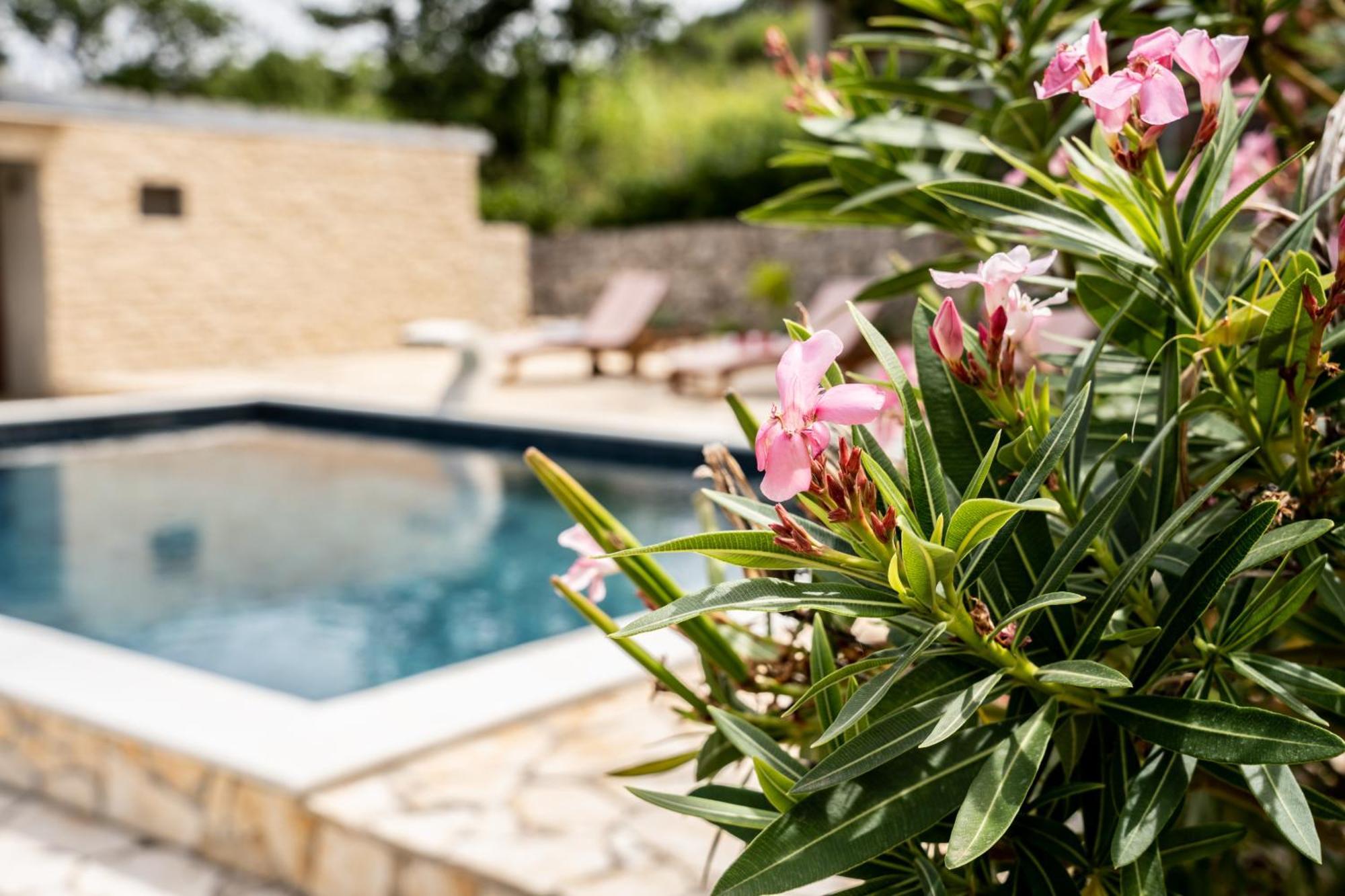 Villa Pag Dubrava Relax With Pool Bosana ภายนอก รูปภาพ